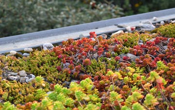 the cost of Sackers Green green roof installation