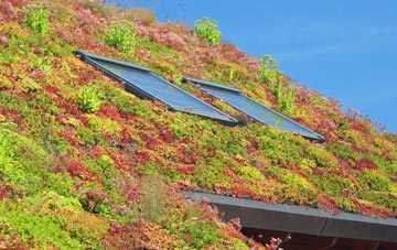 Sackers Green living roof systems