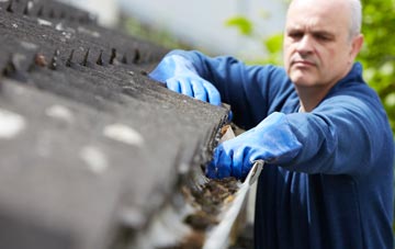 cleaning and inspecting Sackers Green roofs
