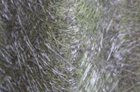 Sackers Green fibreglass roof work