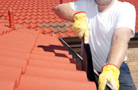 Sackers Green roof cleaners