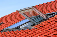 Sackers Green roof window